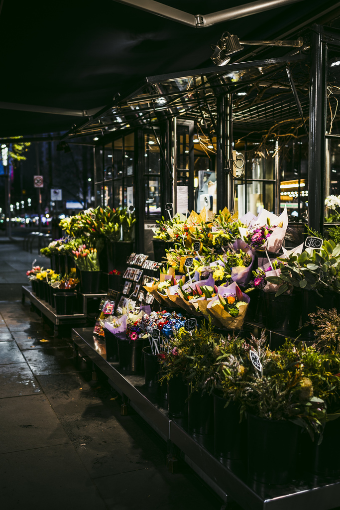 flowers